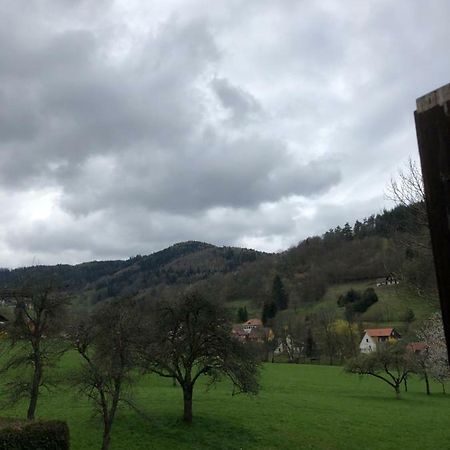Petit Week End Dans La Vallee Breitenbach-Haut-Rhin Eksteriør billede
