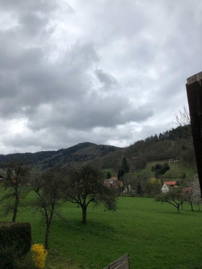 Petit Week End Dans La Vallee Breitenbach-Haut-Rhin Eksteriør billede