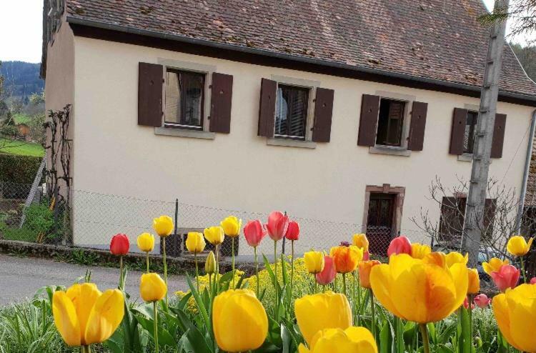 Petit Week End Dans La Vallee Breitenbach-Haut-Rhin Eksteriør billede
