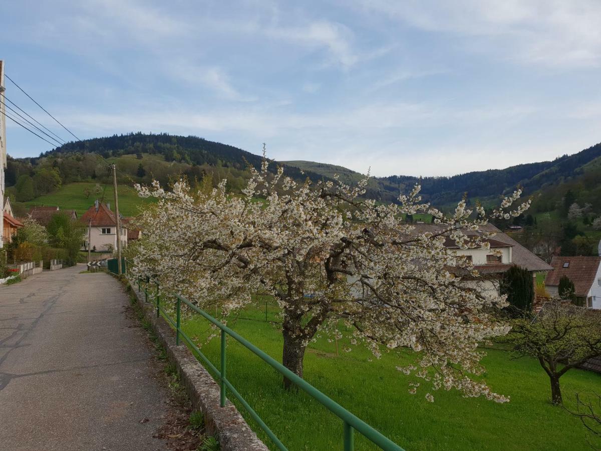 Petit Week End Dans La Vallee Breitenbach-Haut-Rhin Eksteriør billede