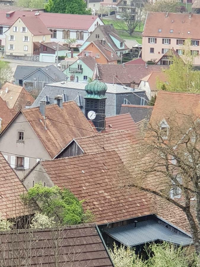 Petit Week End Dans La Vallee Breitenbach-Haut-Rhin Eksteriør billede