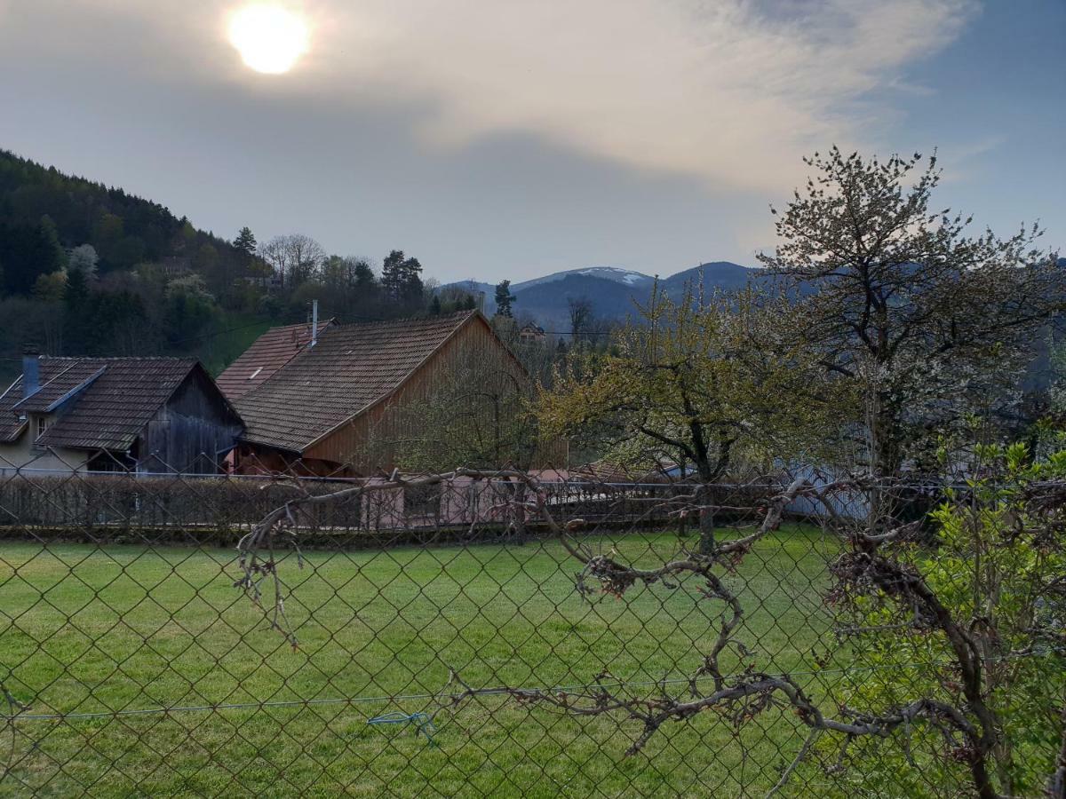 Petit Week End Dans La Vallee Breitenbach-Haut-Rhin Eksteriør billede