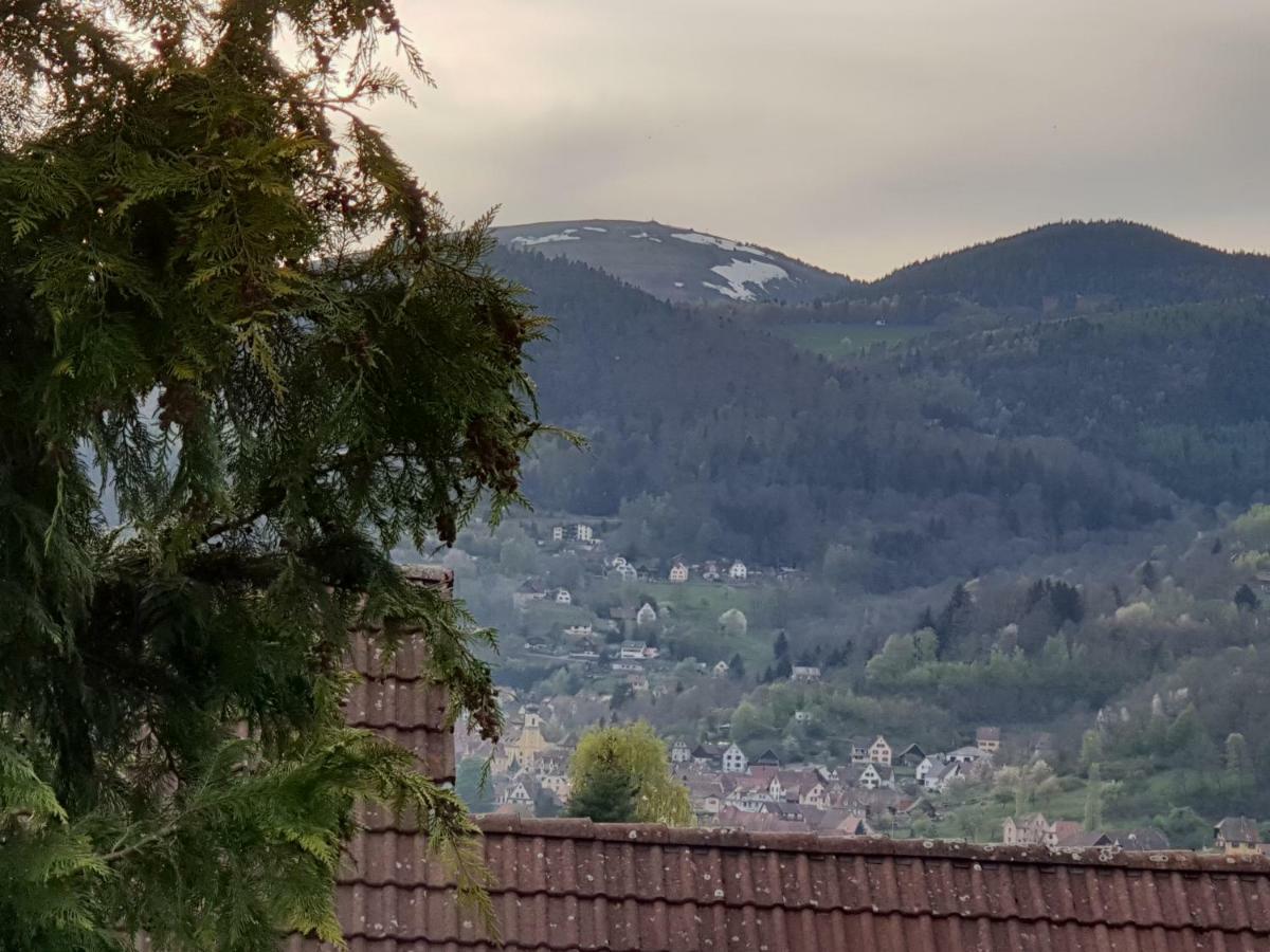 Petit Week End Dans La Vallee Breitenbach-Haut-Rhin Eksteriør billede