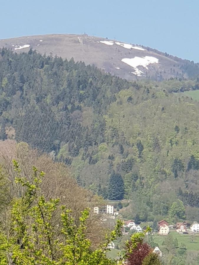 Petit Week End Dans La Vallee Breitenbach-Haut-Rhin Eksteriør billede