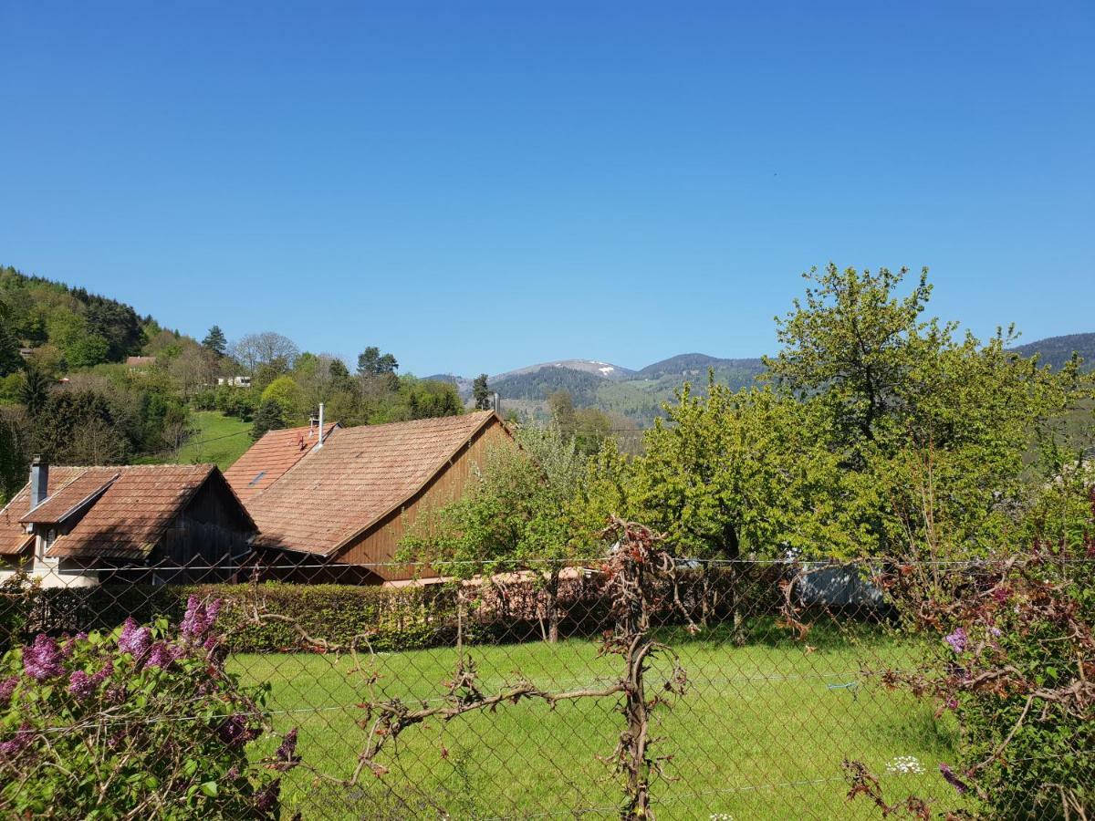 Petit Week End Dans La Vallee Breitenbach-Haut-Rhin Eksteriør billede