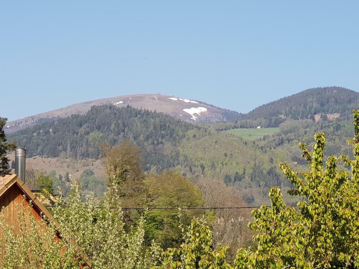Petit Week End Dans La Vallee Breitenbach-Haut-Rhin Eksteriør billede