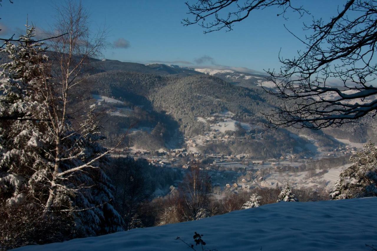 Petit Week End Dans La Vallee Breitenbach-Haut-Rhin Eksteriør billede
