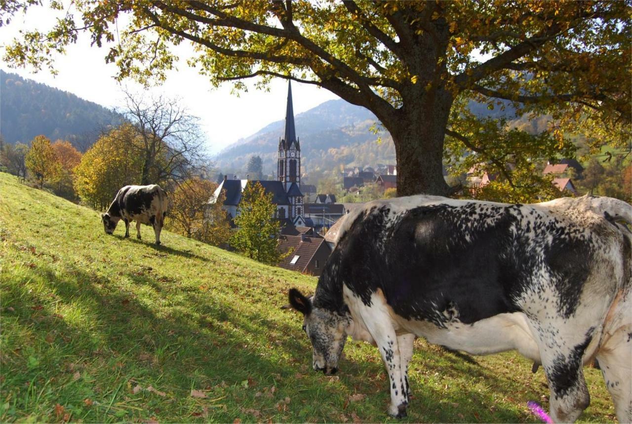 Petit Week End Dans La Vallee Breitenbach-Haut-Rhin Eksteriør billede