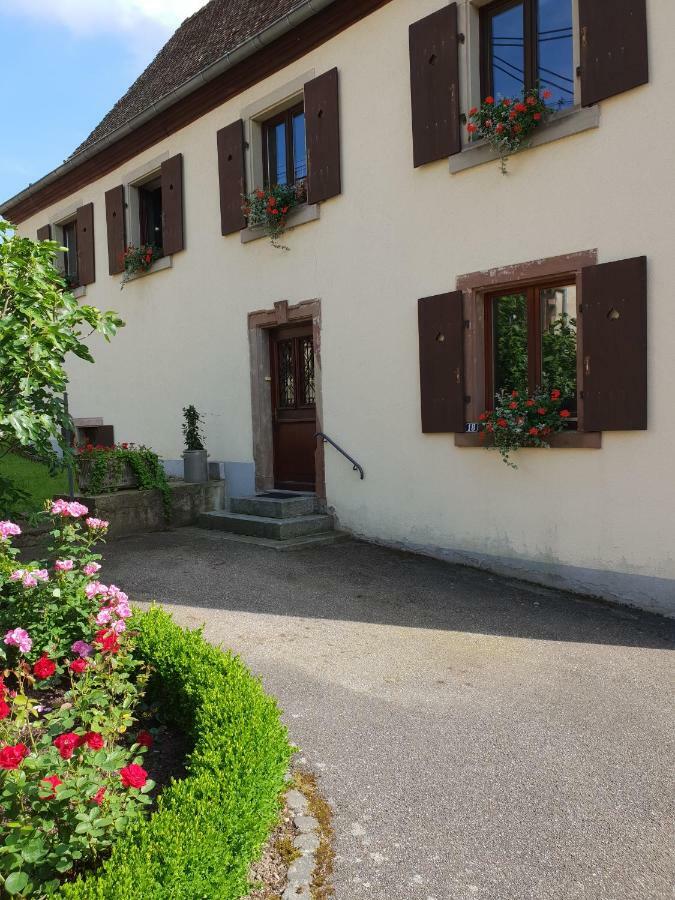 Petit Week End Dans La Vallee Breitenbach-Haut-Rhin Eksteriør billede