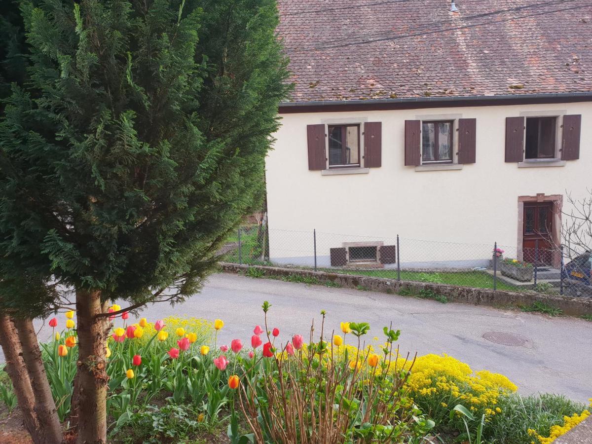Petit Week End Dans La Vallee Breitenbach-Haut-Rhin Eksteriør billede